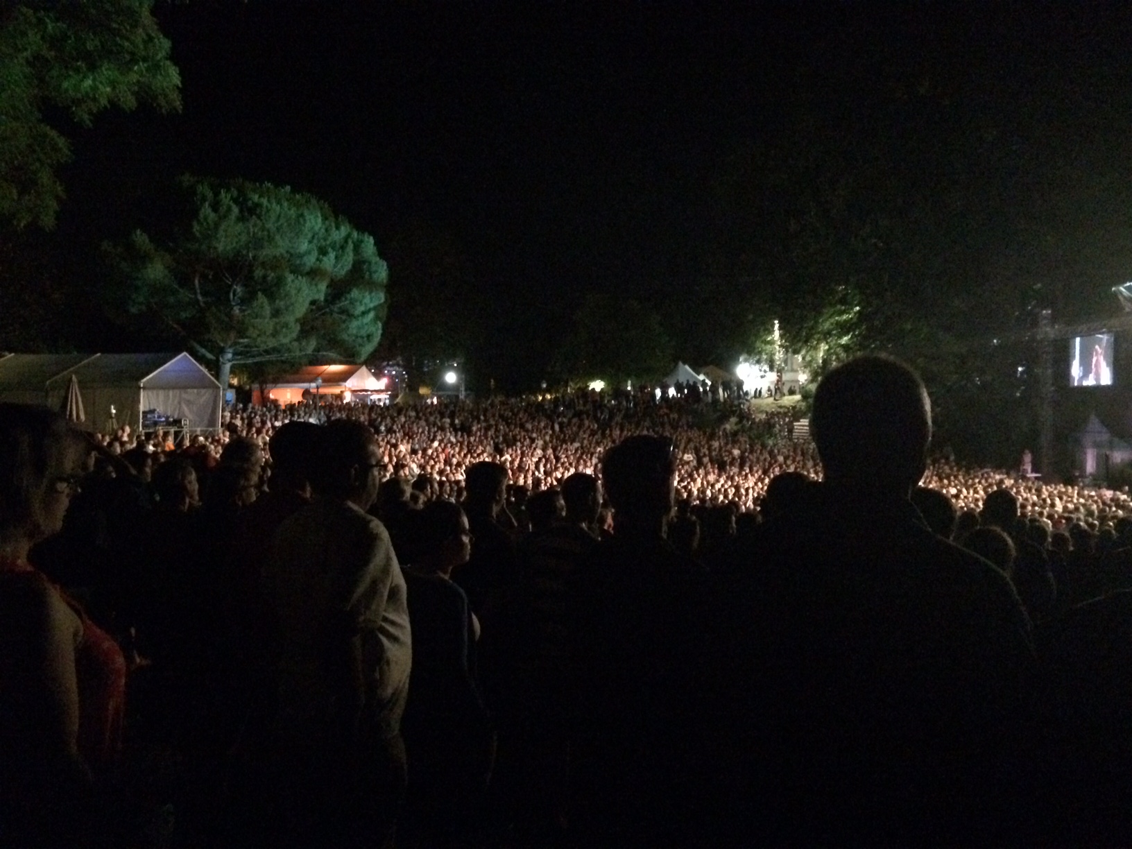 livingincognac blues passion festival