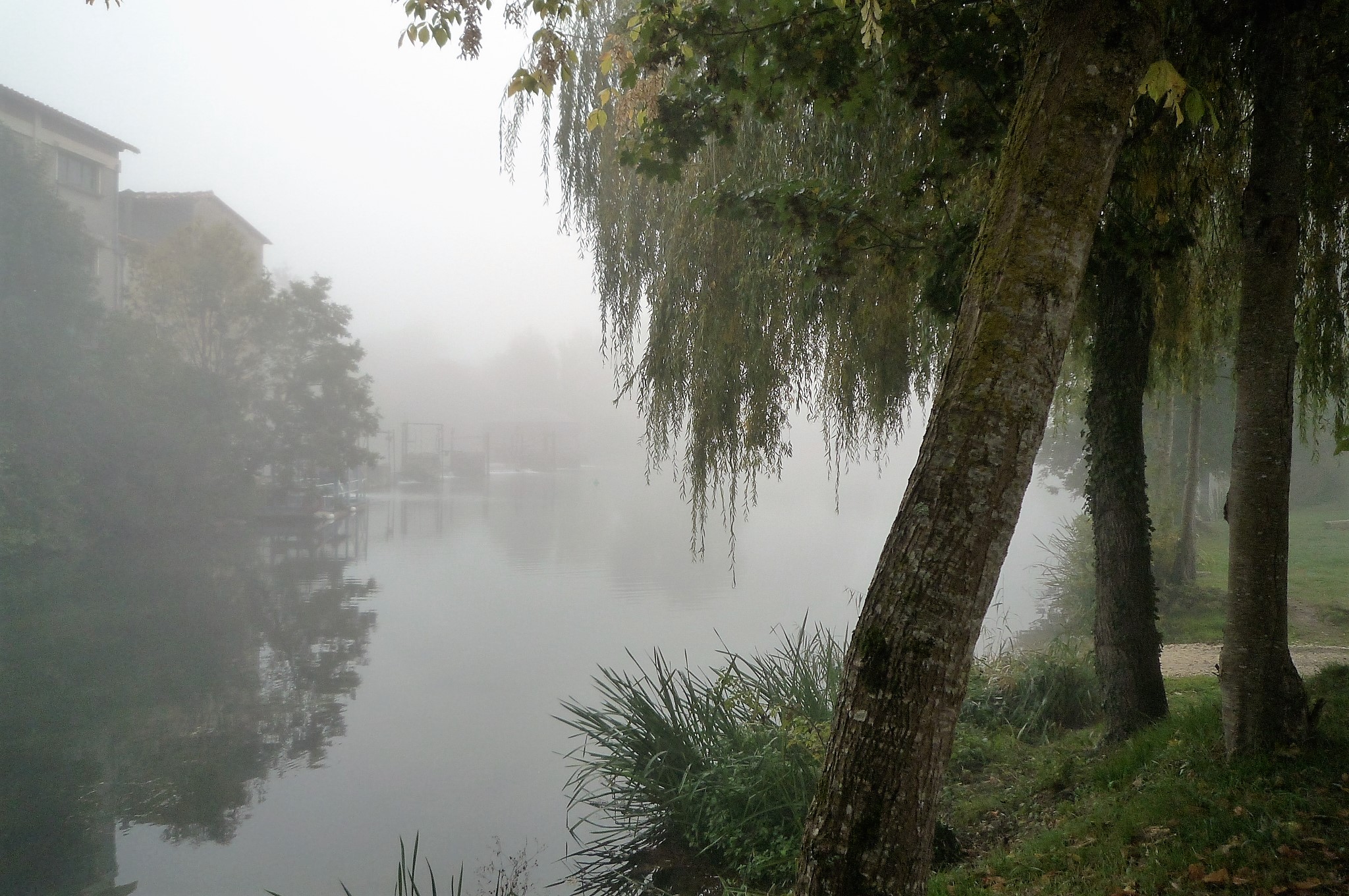 livingincognac-saint-simeux-2016-fog