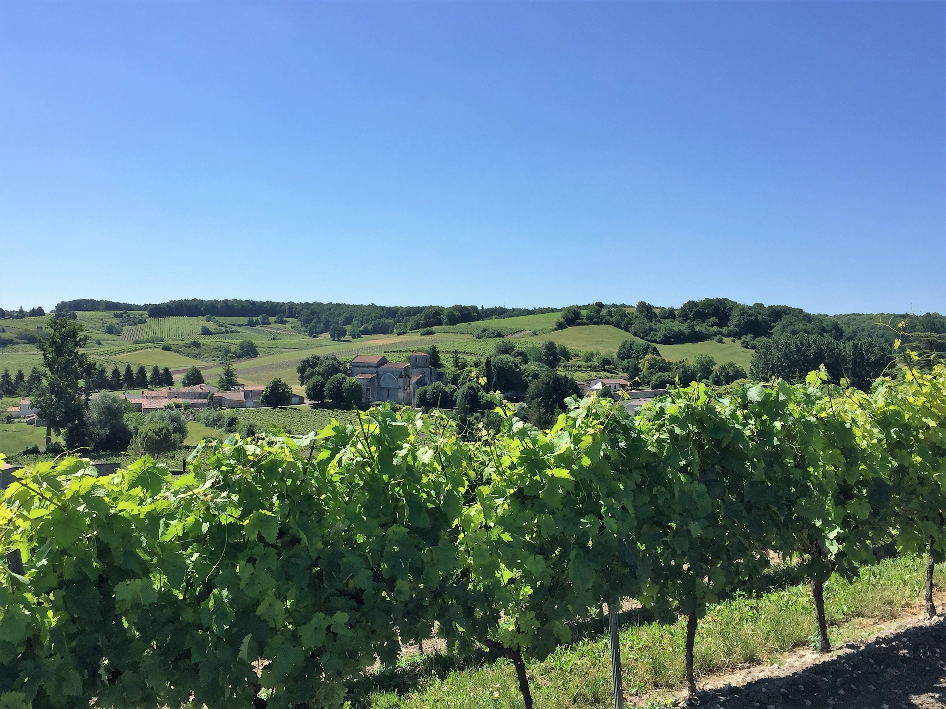 Livingincognac 2017