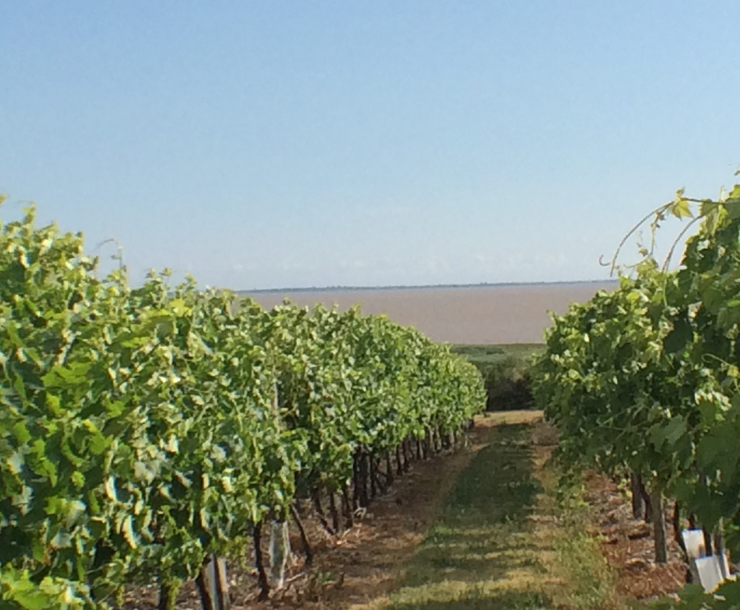 livingincognac-gironde-estuary