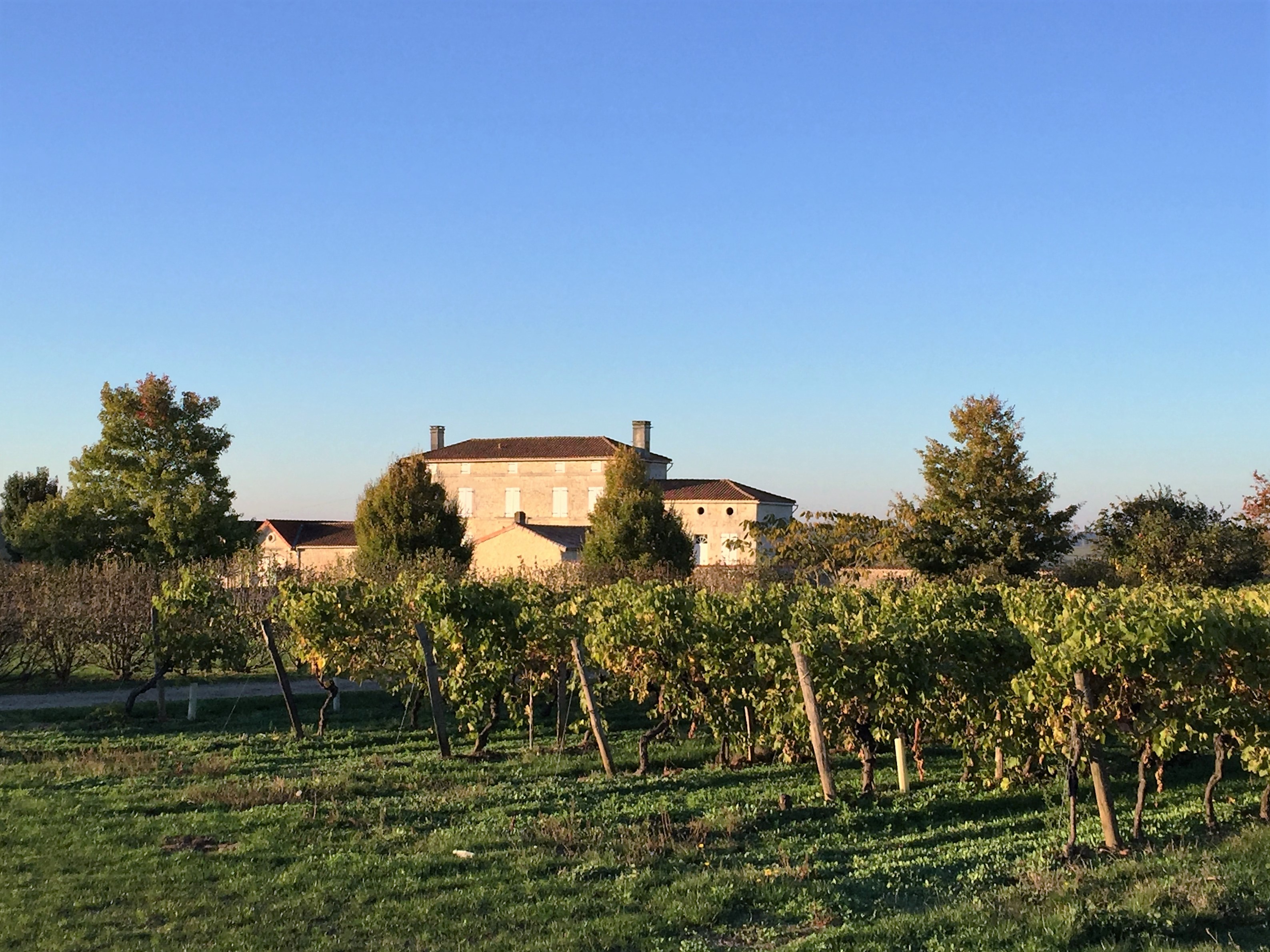 livingincognac-2016-octobre-vignes-moulidars-3