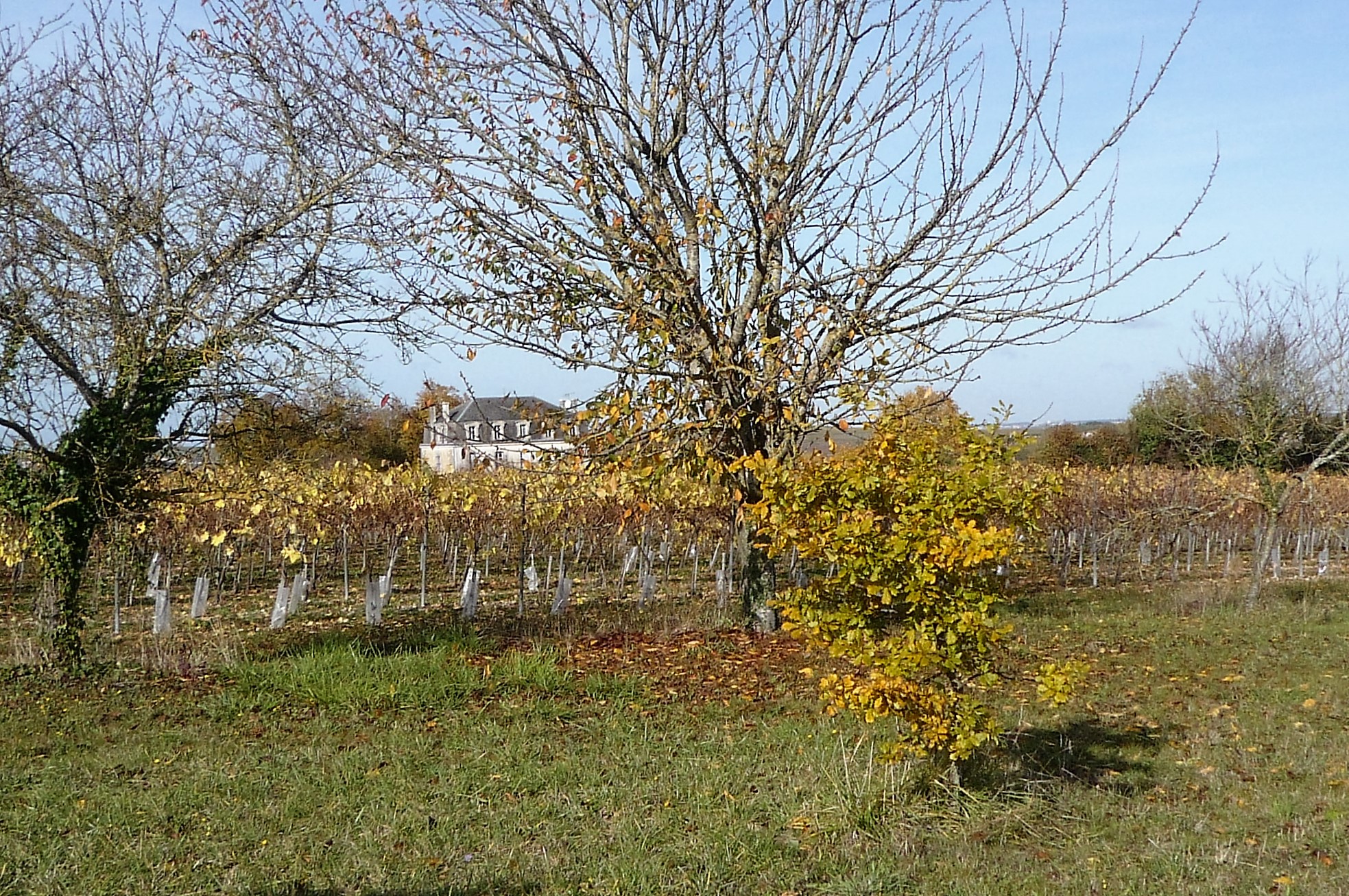 livingincognac 2016 autumn