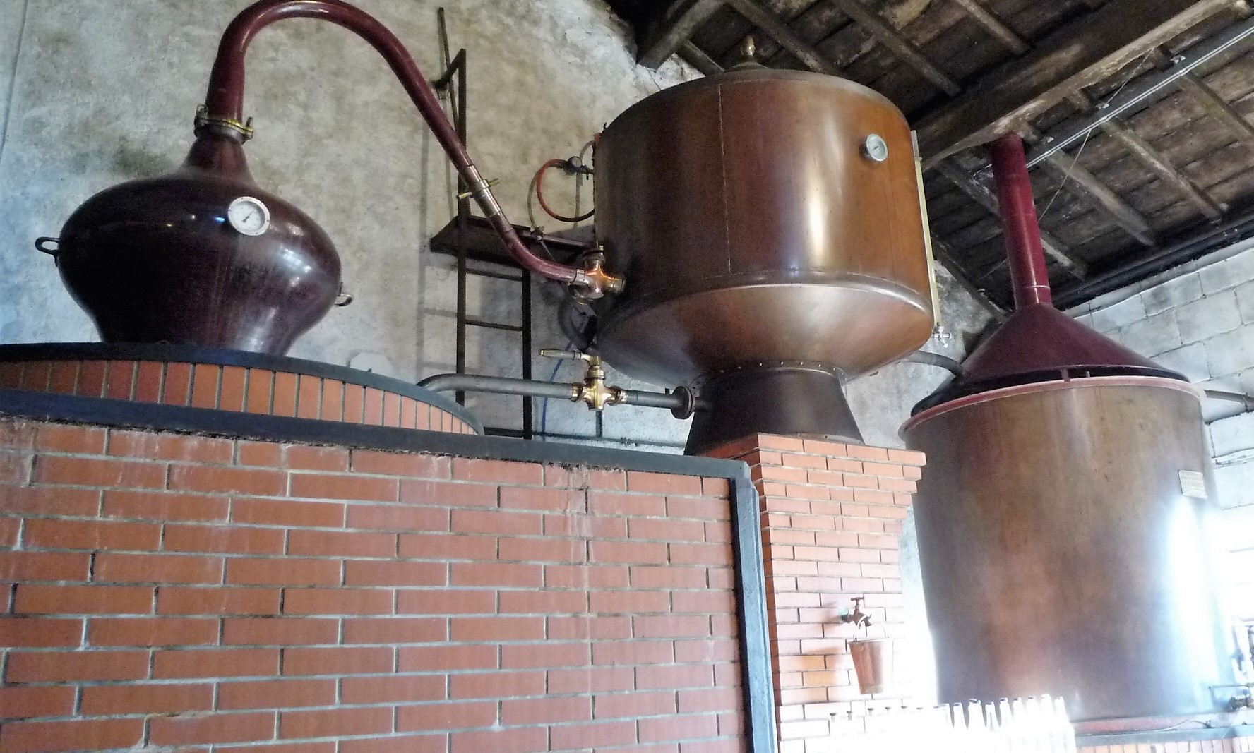 livingincognac2016 distillation guillon pinturaud