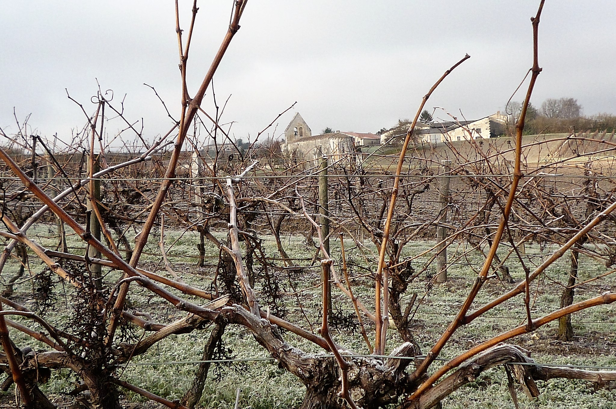 livingincognac - winter