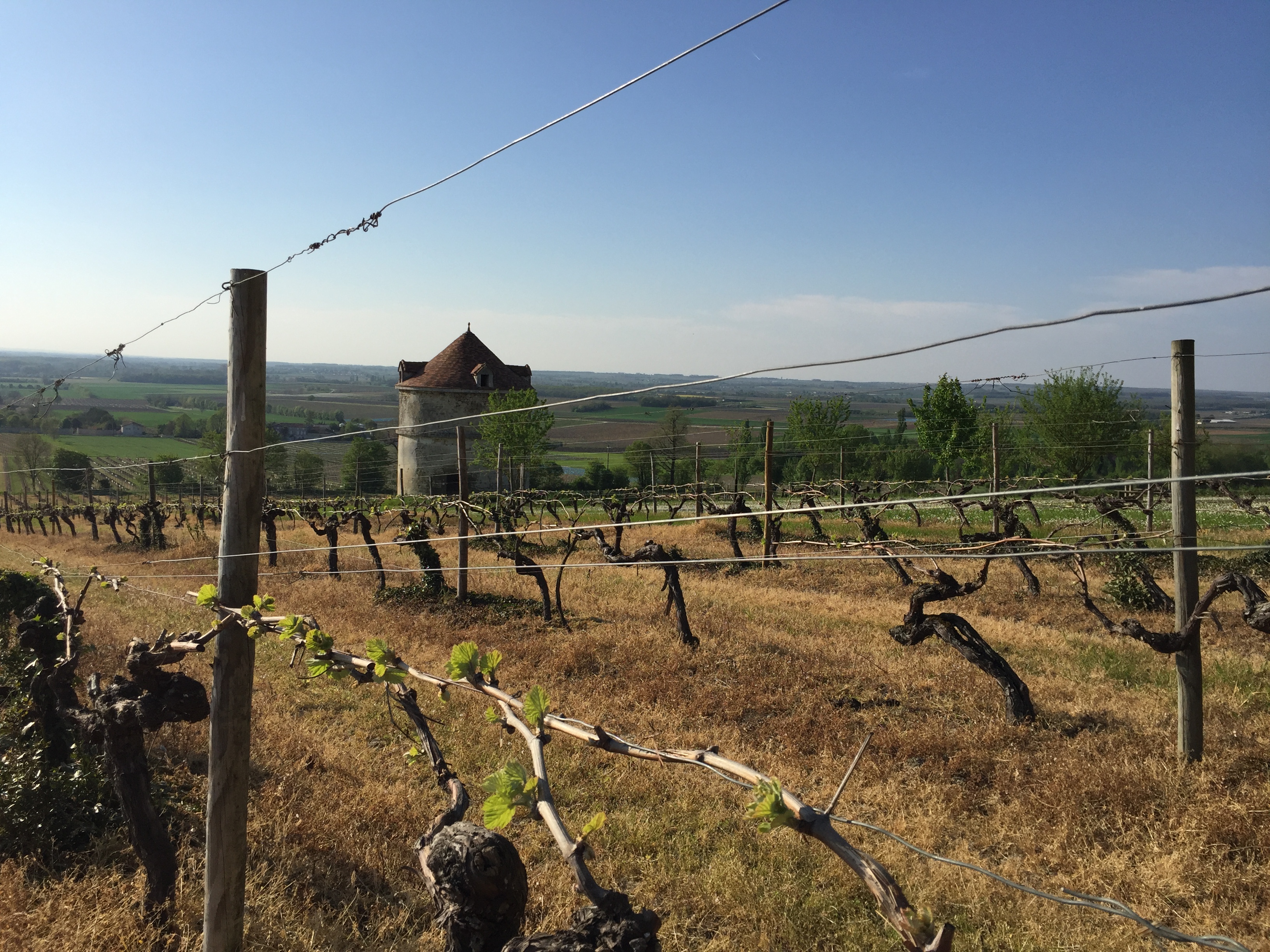 livingincognac pigeonnier d ardenne