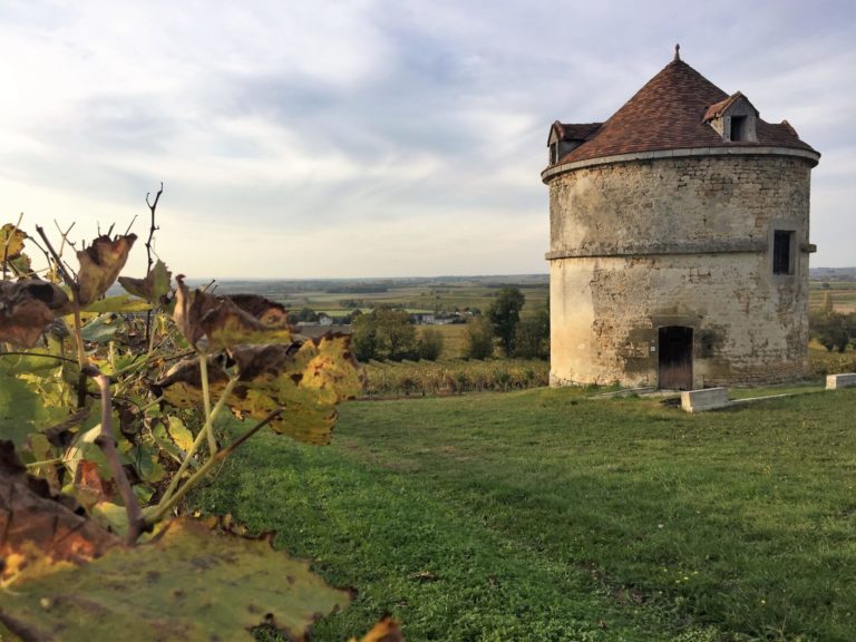 pigeonnier d'Ardenne et vigne à l'automne