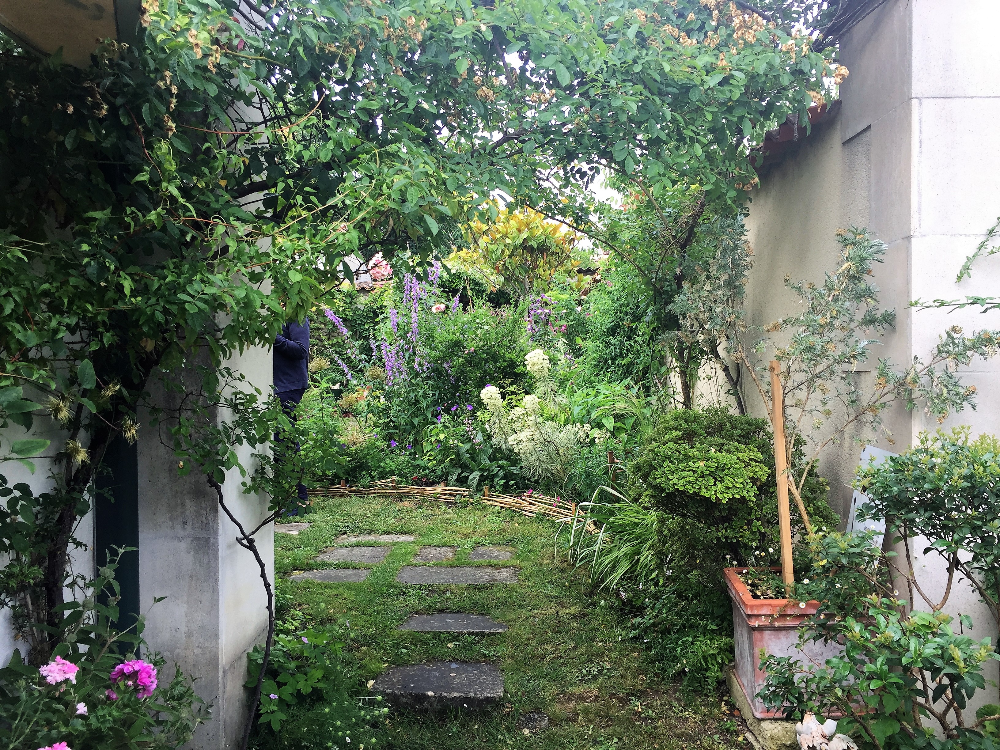 livingincognac 2017 garden