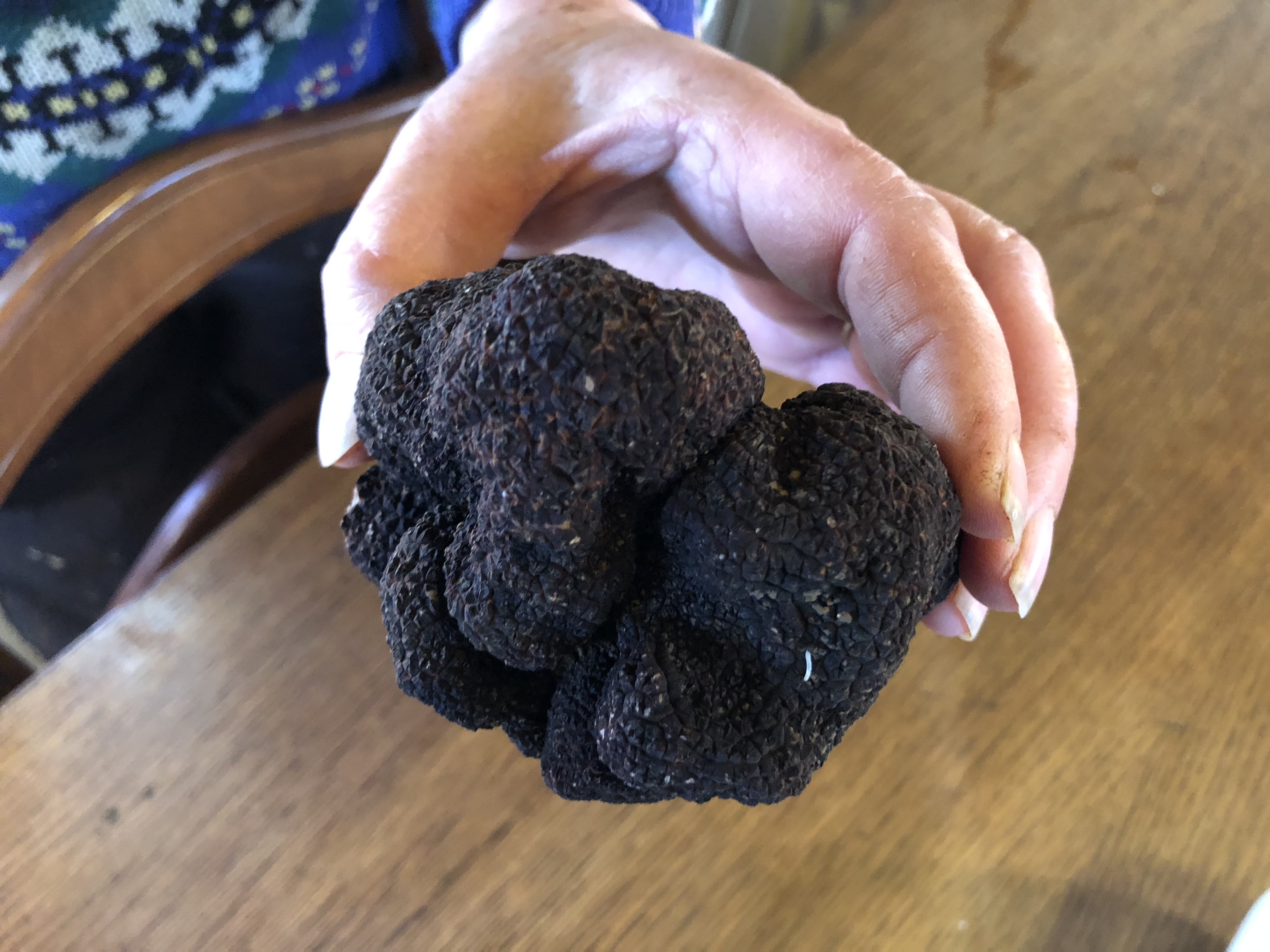 livingincognac 2017 truffe truffle