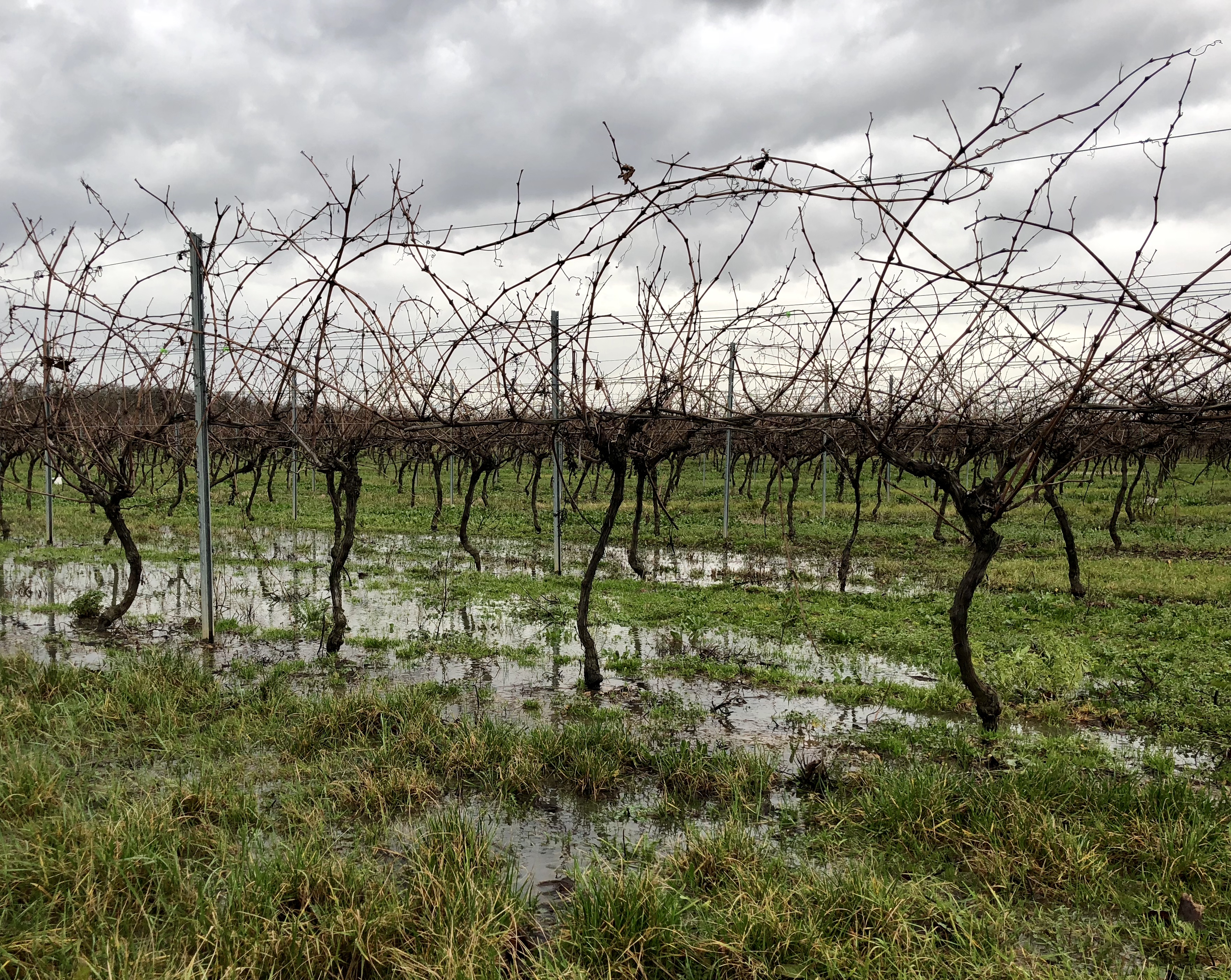 livingincognac 2018 flood