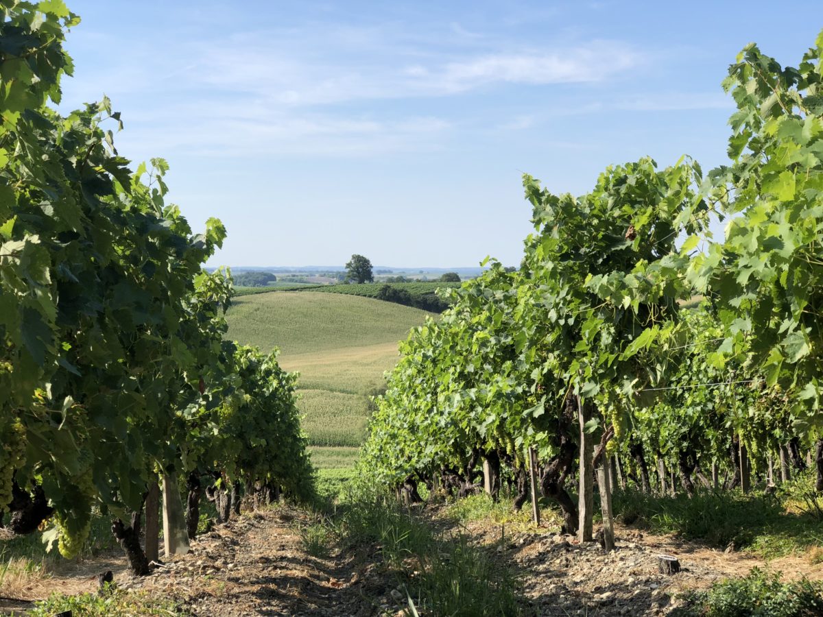 livingincognac 2018