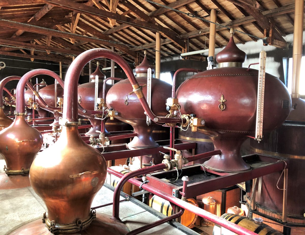 living-in-cognac 2018 Distillation