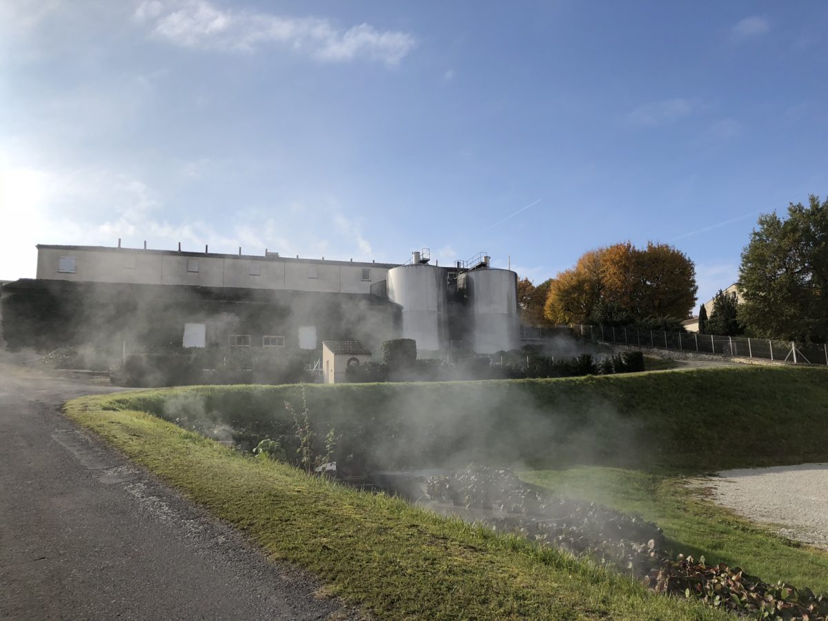 living-in-cognac. distillerie