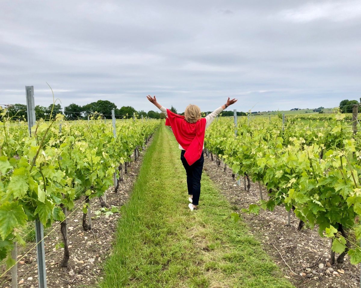 premier jour dans les vignes après le déconfinement