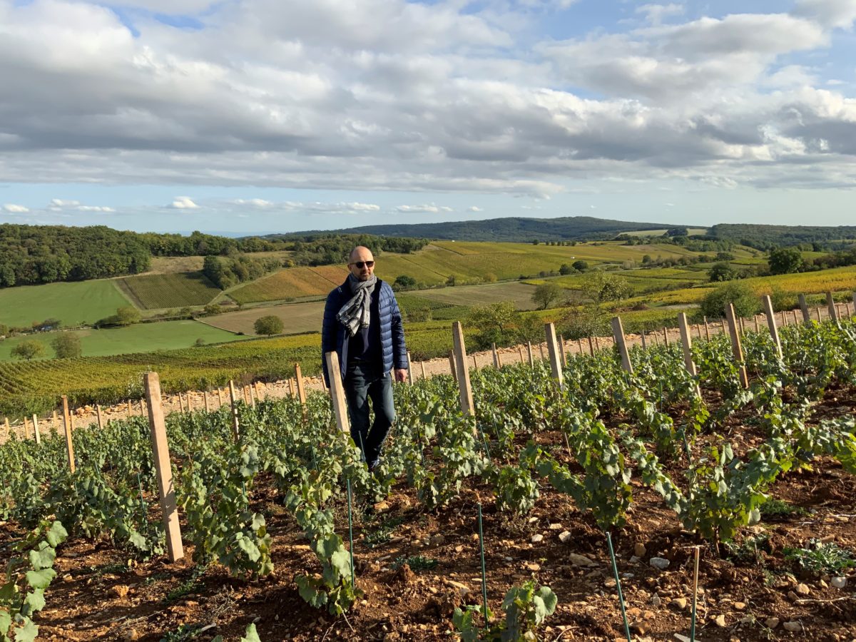 Philippe Guyonnet dans les nouvelles vignes plantées sur le clos de la Mollepierre