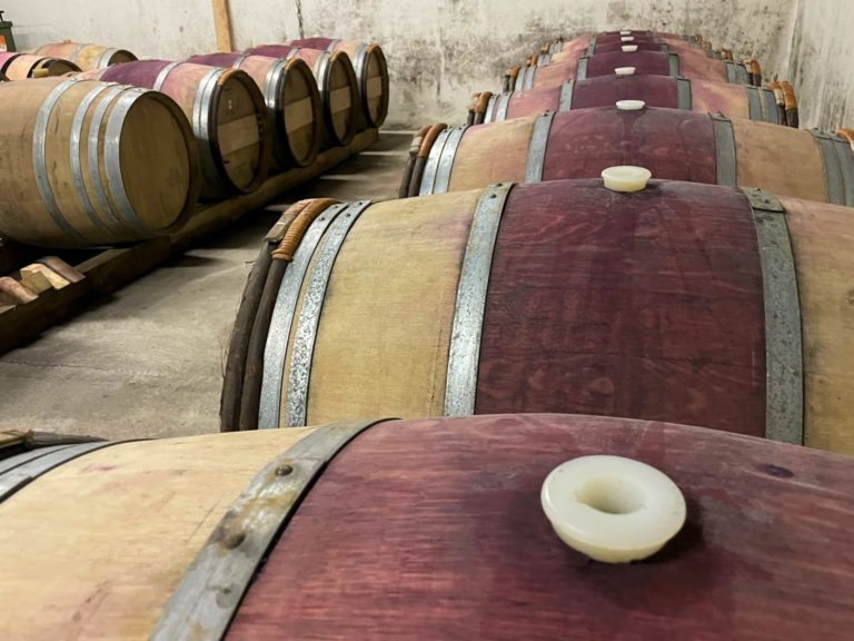les barriques de sapiens
