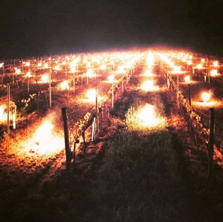 candles and braziers in vines