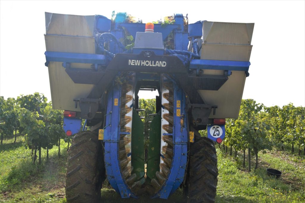 machine à vendanger dans les vignes pendant les vendanges