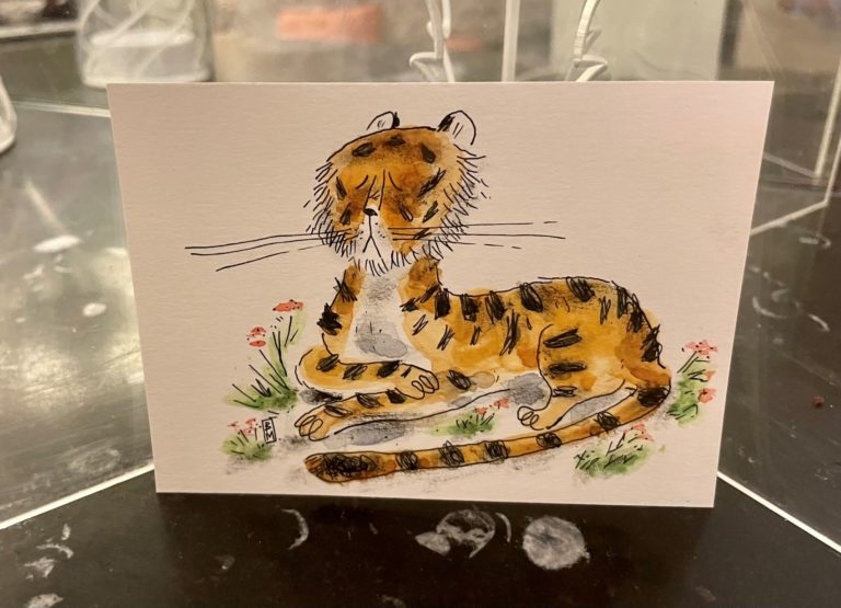 le tigre de Benjamin Miallet