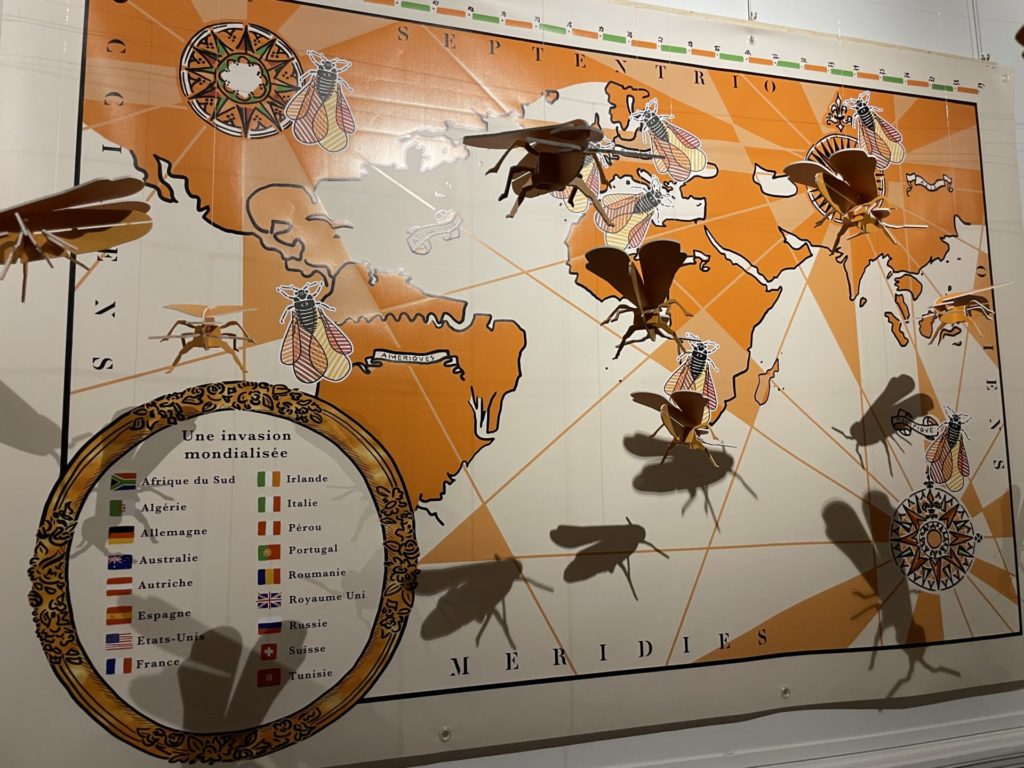 la carte de la pandémie mondiale du phylloxera