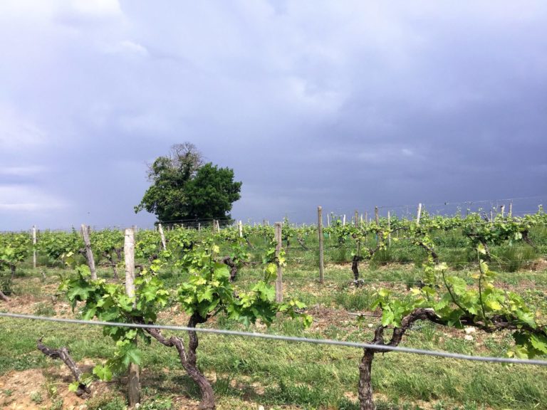 le ciel menaçant annonçant un orage de grêle