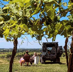 pique nique à deux devant les vignes