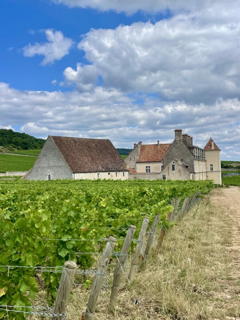 Clos de VOUGEOT et les climats de Bourgogne classés au Patrimoine culturel immatériel de l'Unesco
