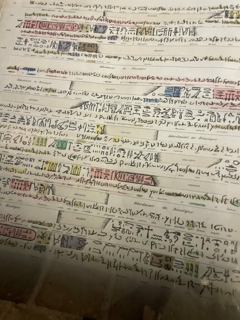 hiéroglyphes musée champollion et les écritures du monde